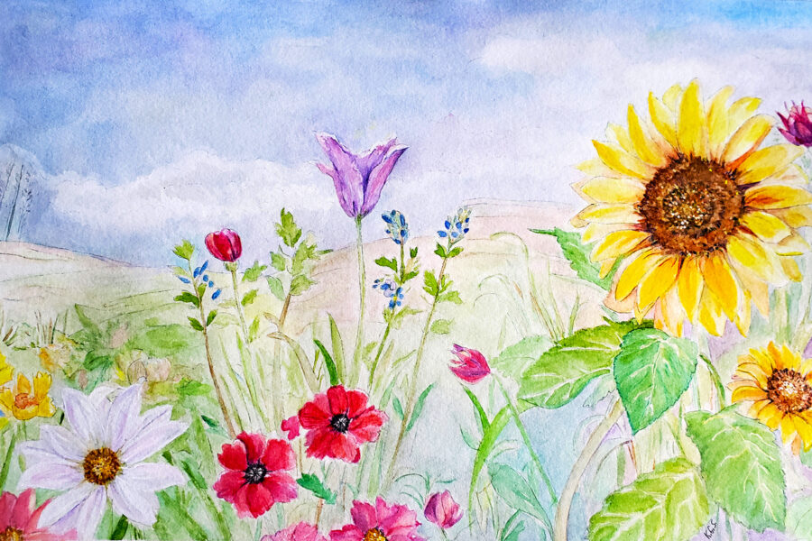 Field of Flowers